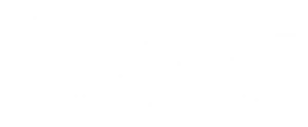 Strut Auto Parts